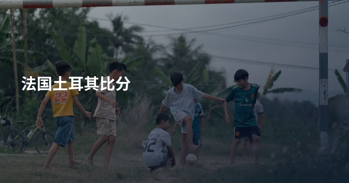 法国土耳其比分