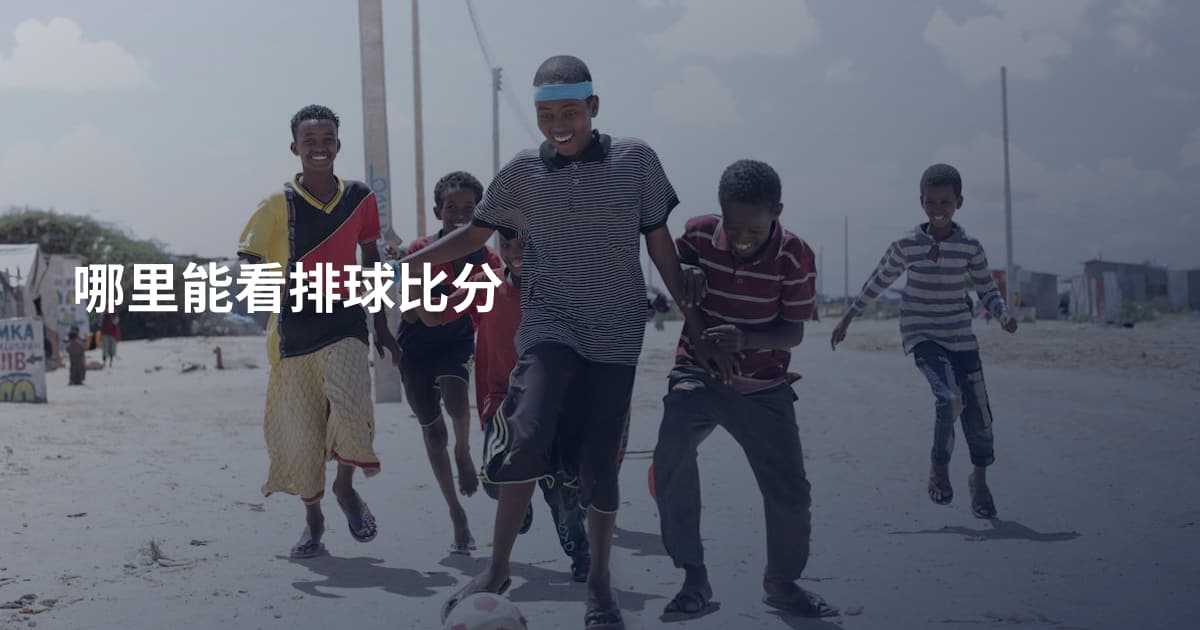 哪里能看排球比分