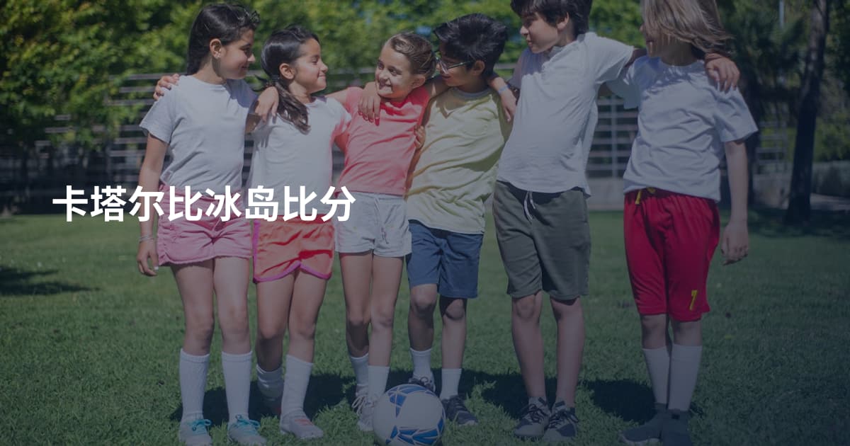 卡塔尔比冰岛比分