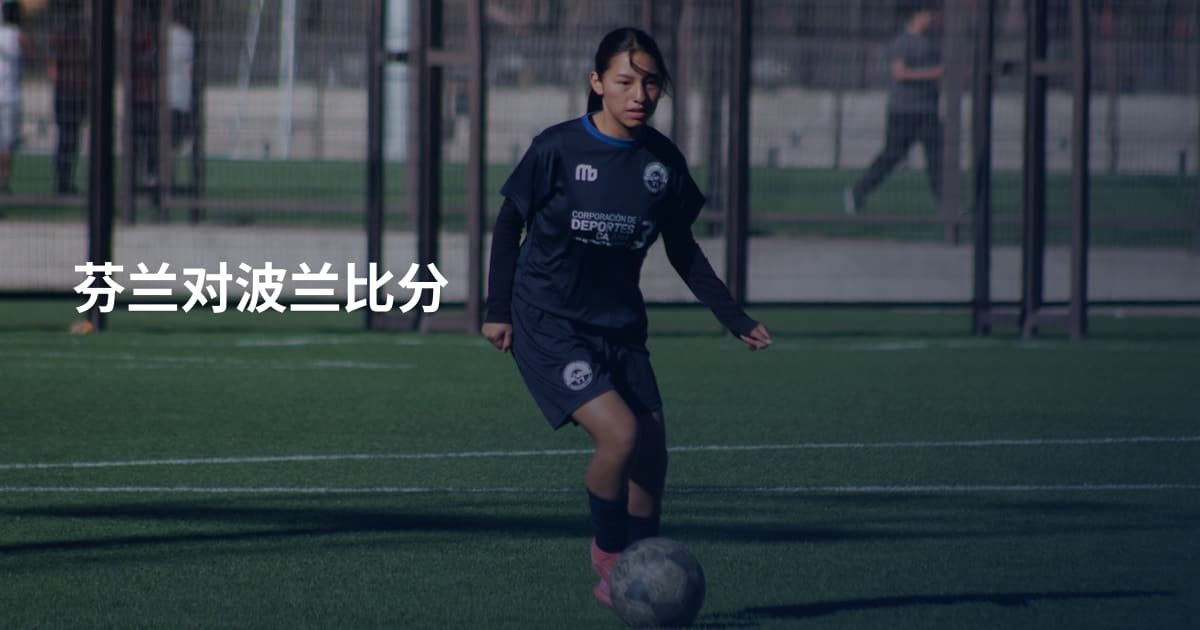 芬兰对波兰比分