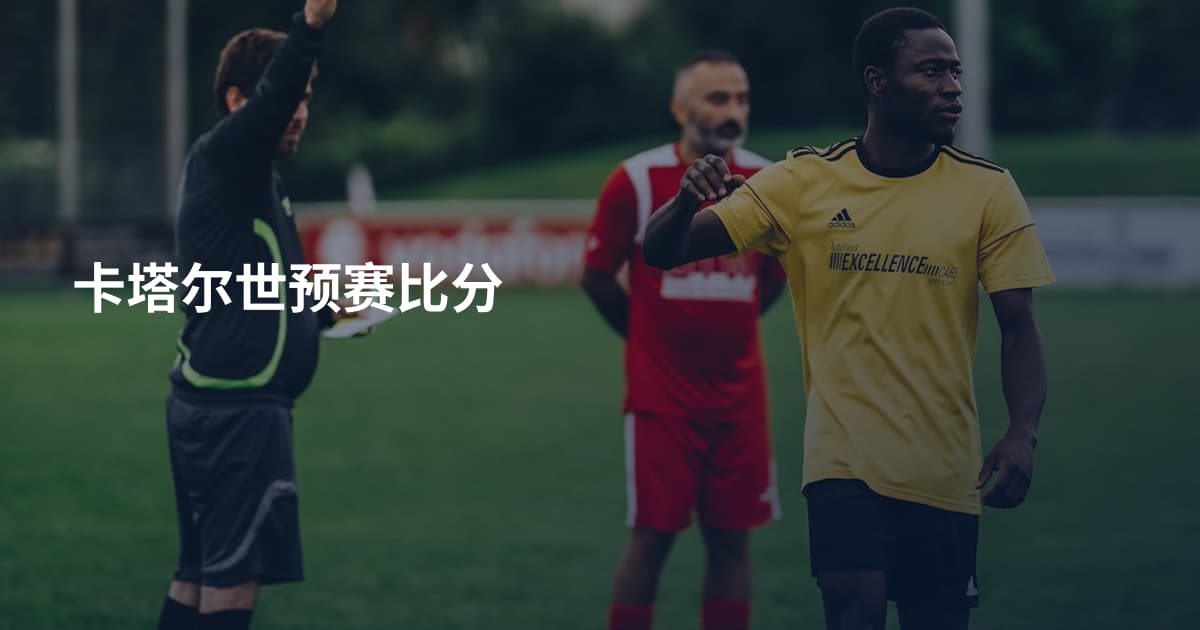 卡塔尔世预赛比分