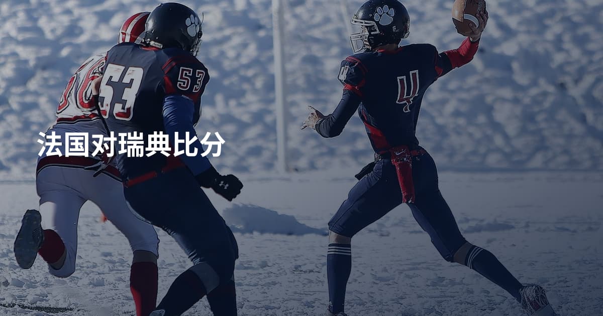法国对瑞典比分