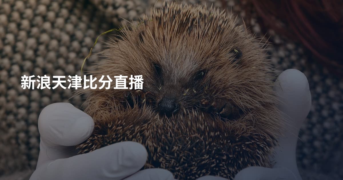 新浪天津比分直播