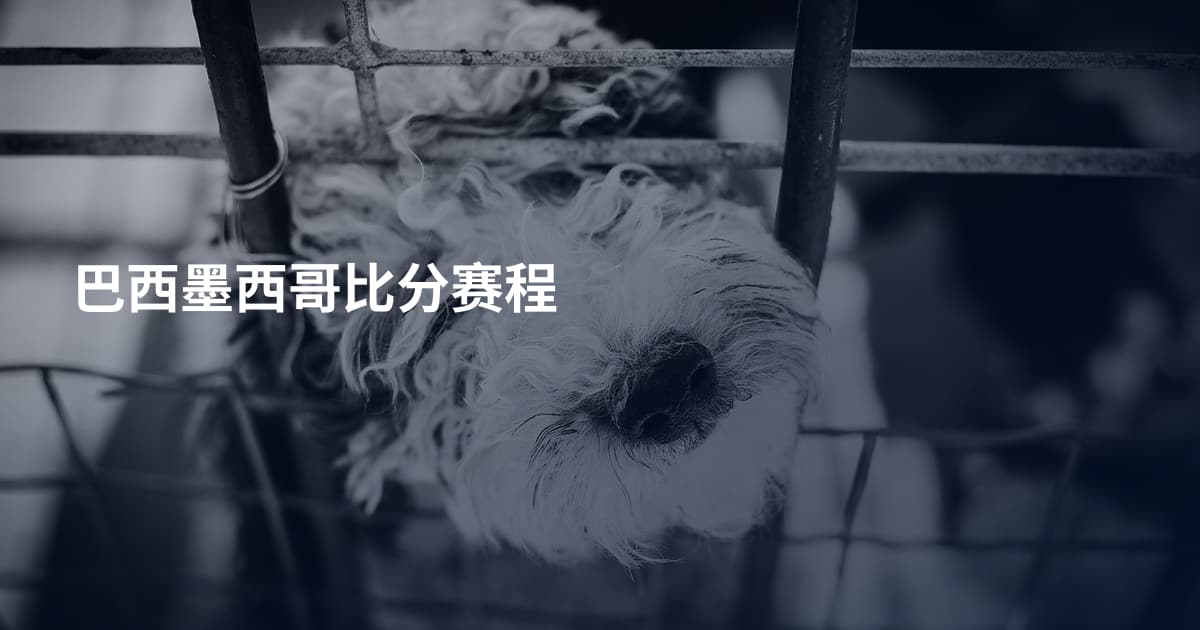 巴西墨西哥比分赛程