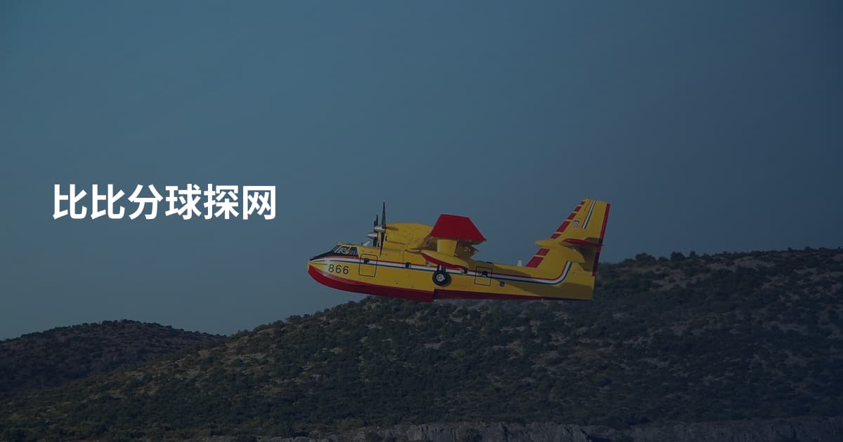 比比分球探网