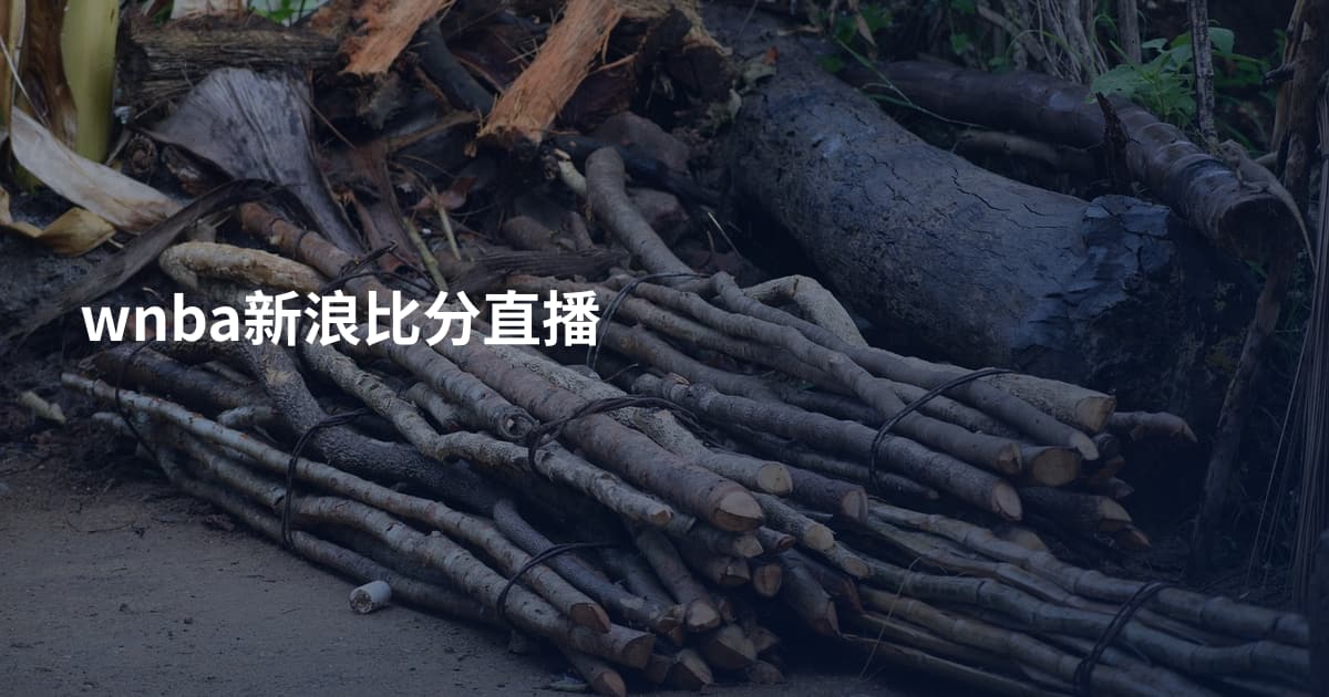 wnba新浪比分直播