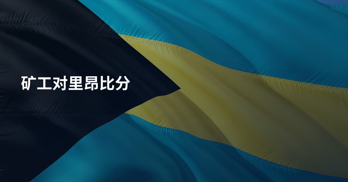 矿工对里昂比分