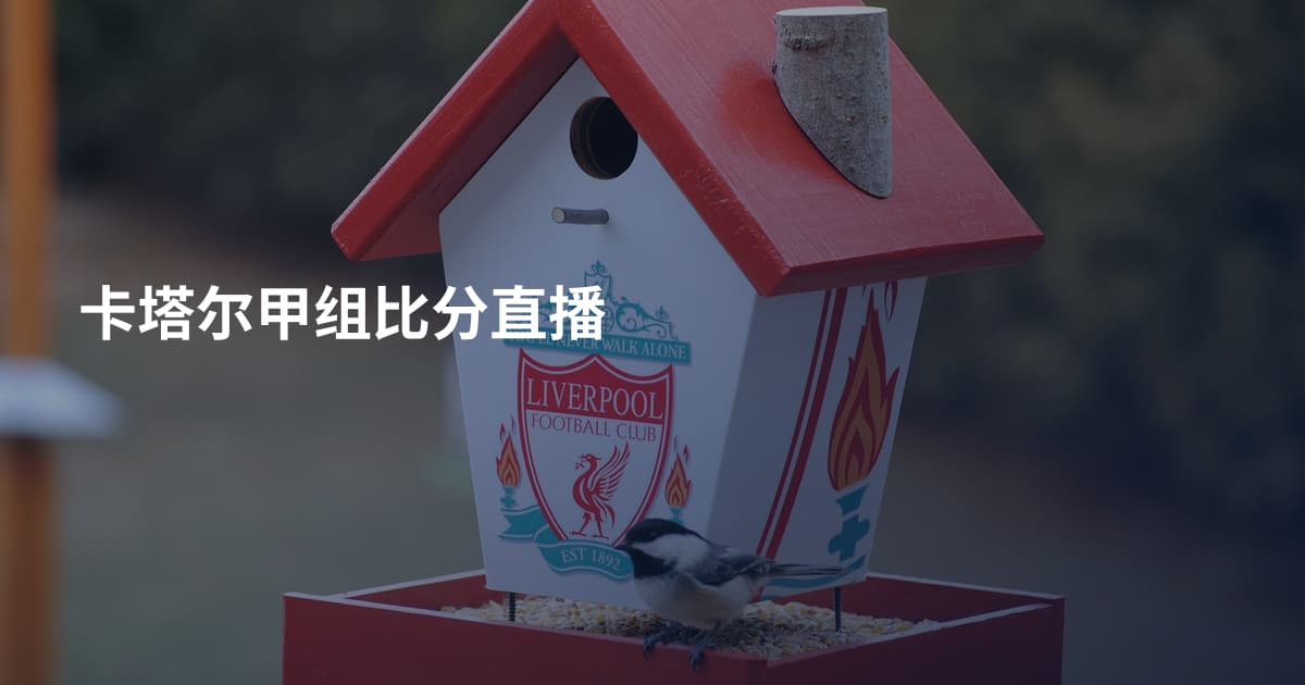 卡塔尔甲组比分直播