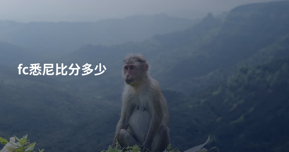 fc悉尼比分多少