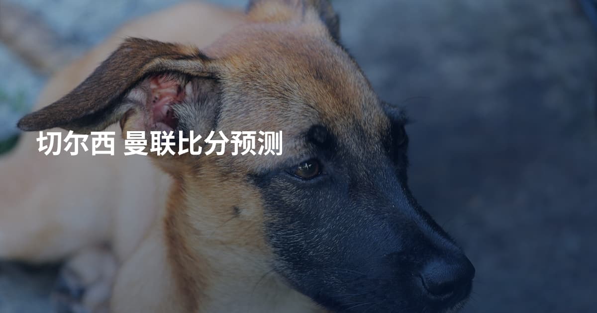 切尔西 曼联比分预测