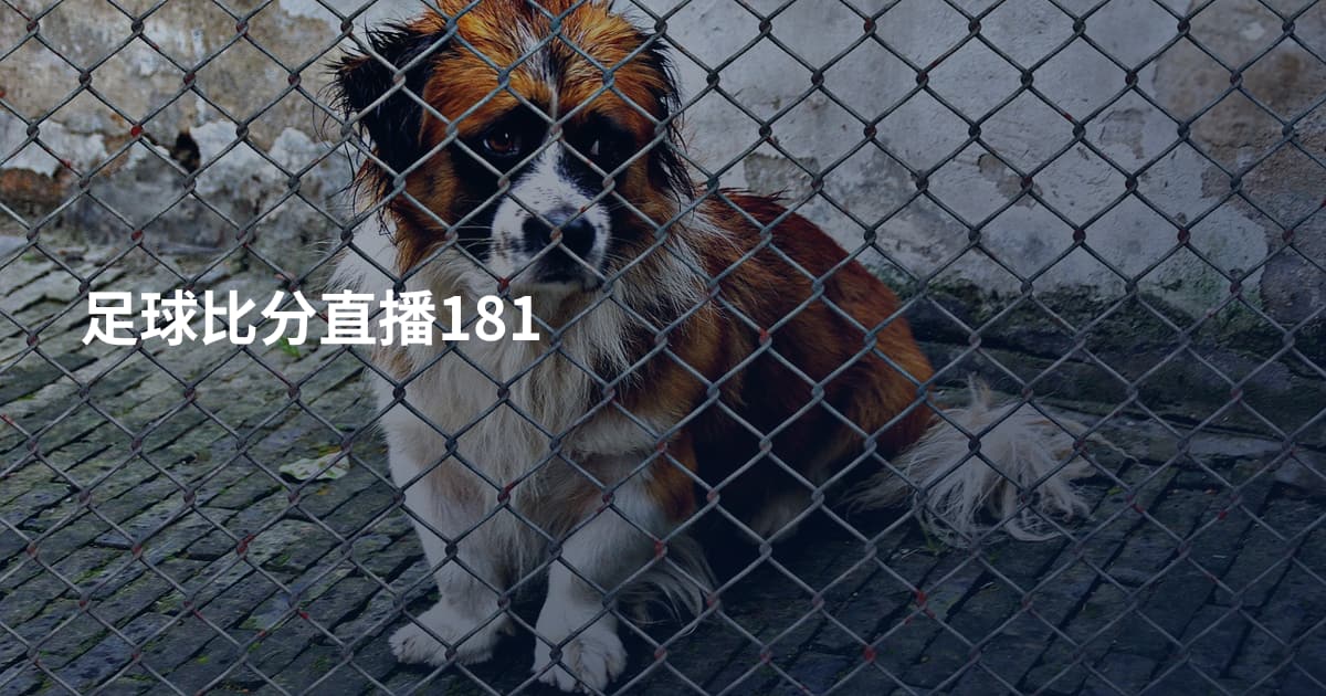 足球比分直播181