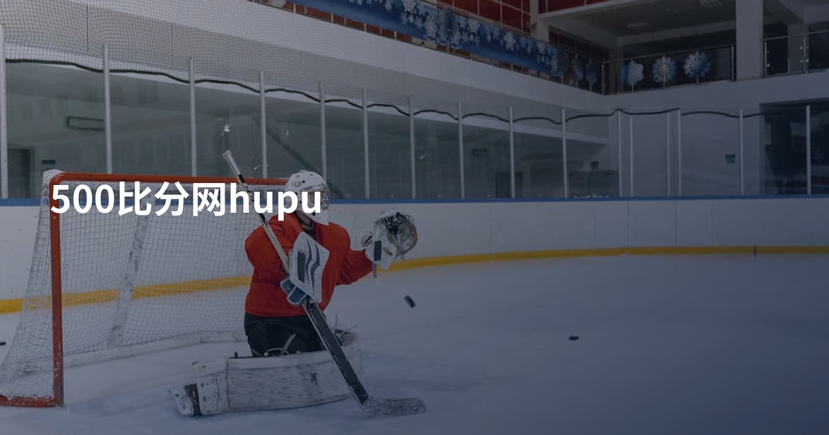 500比分网hupu