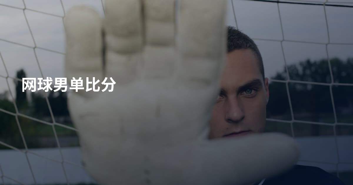 网球男单比分