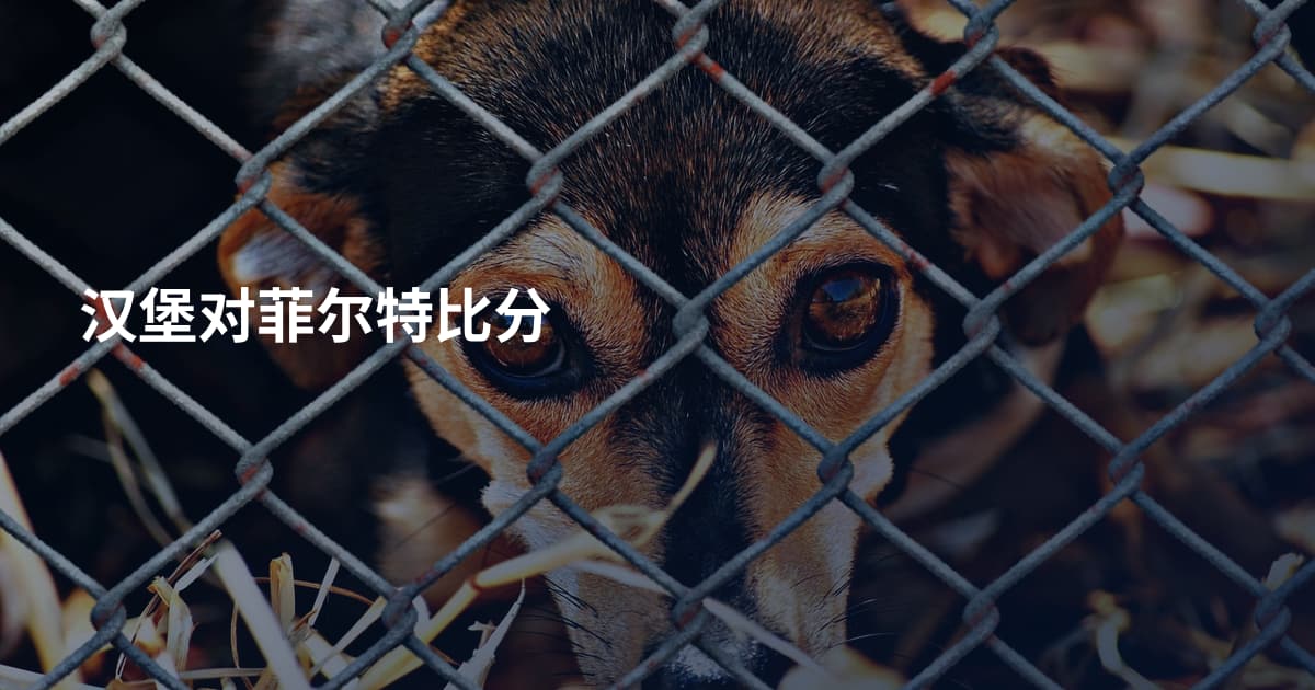 汉堡对菲尔特比分