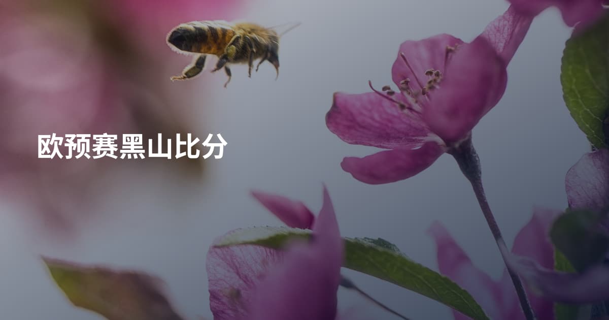 欧预赛黑山比分