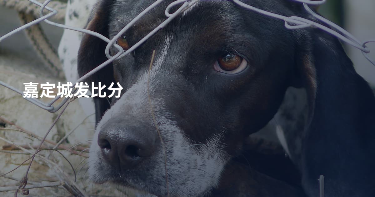 嘉定城发比分