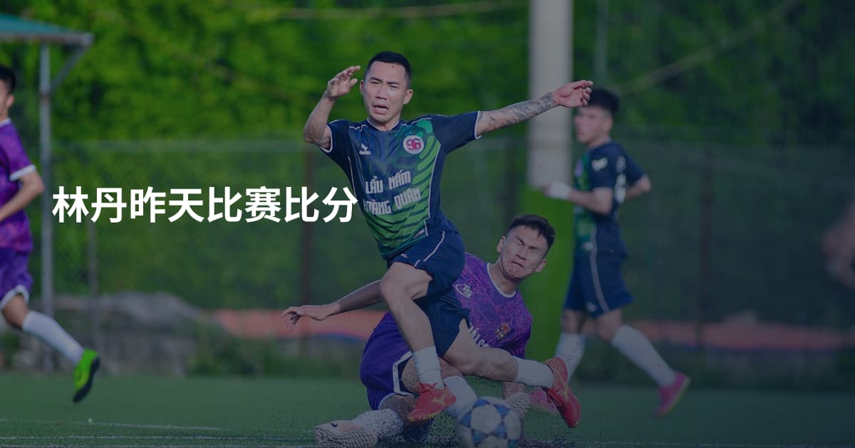 林丹昨天比赛比分