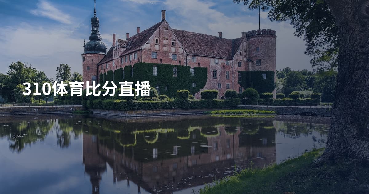 310体育比分直播
