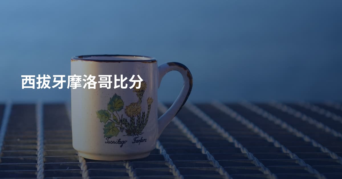 西拔牙摩洛哥比分