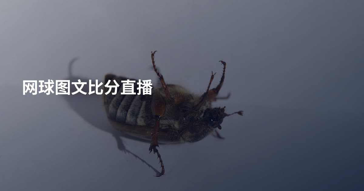 网球图文比分直播
