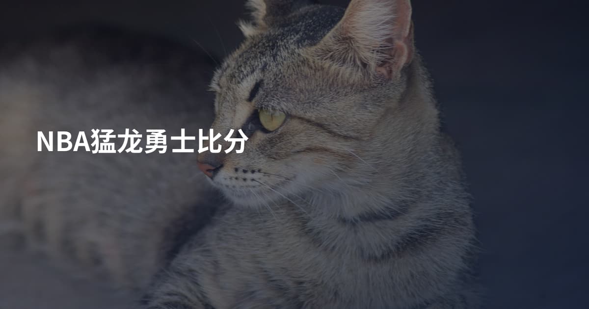 NBA猛龙勇士比分