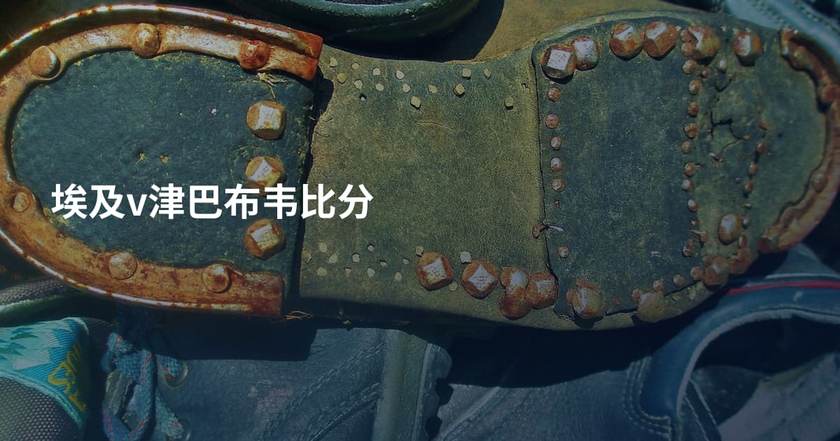 埃及v津巴布韦比分