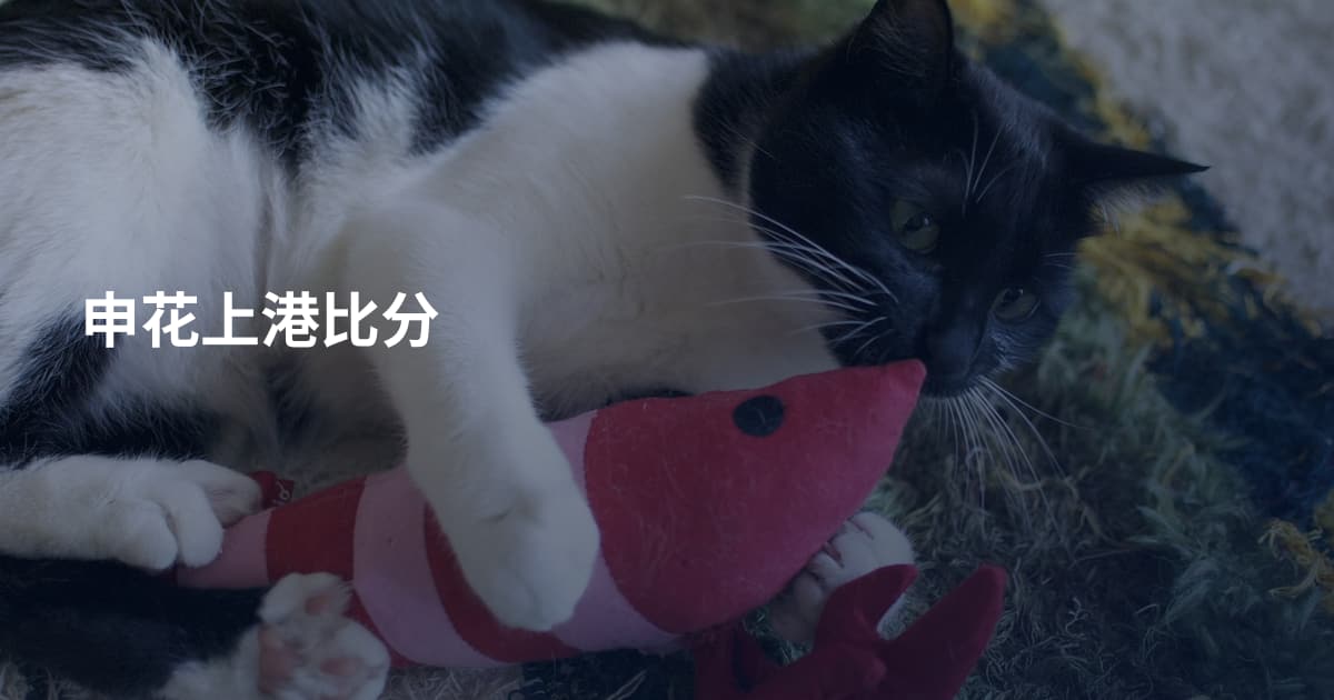 申花上港比分