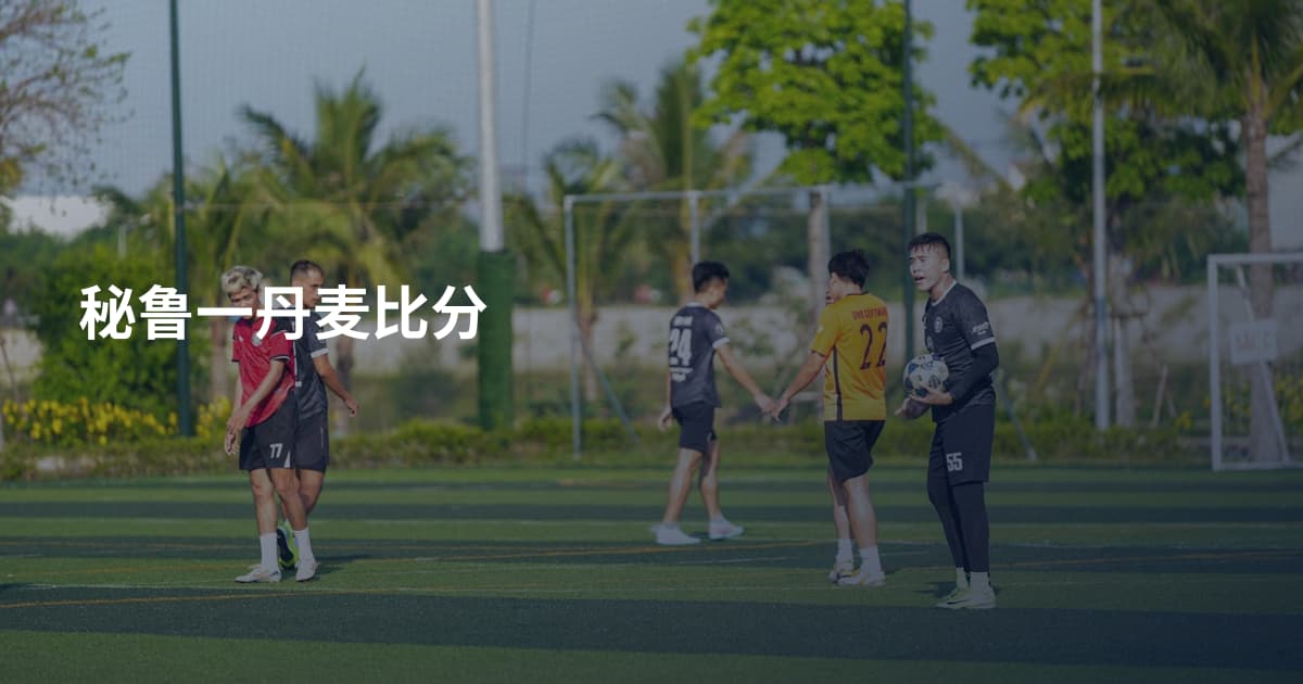 秘鲁一丹麦比分
