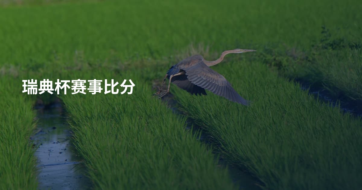瑞典杯赛事比分
