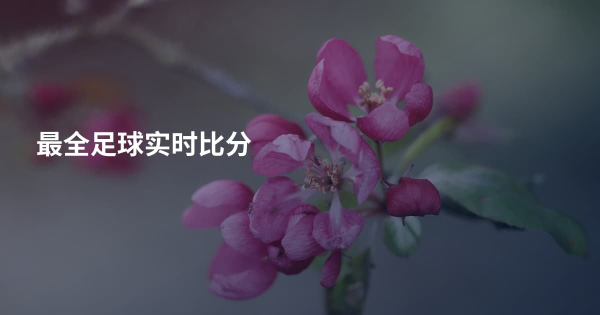 最全足球实时比分