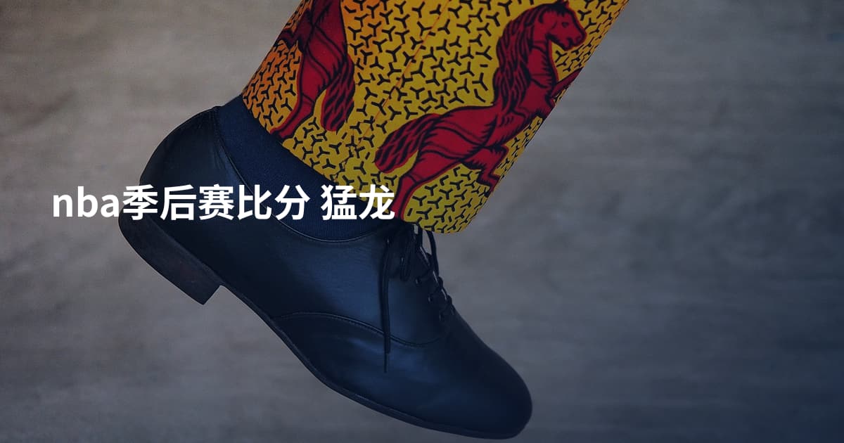 nba季后赛比分 猛龙