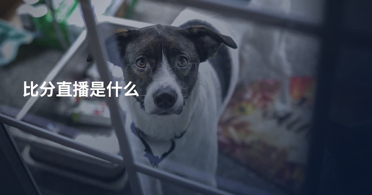 比分直播是什么