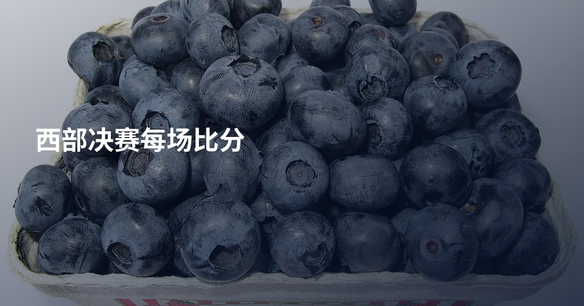 西部决赛每场比分