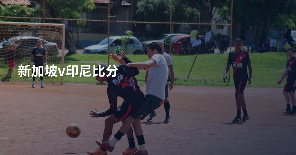 新加坡v印尼比分