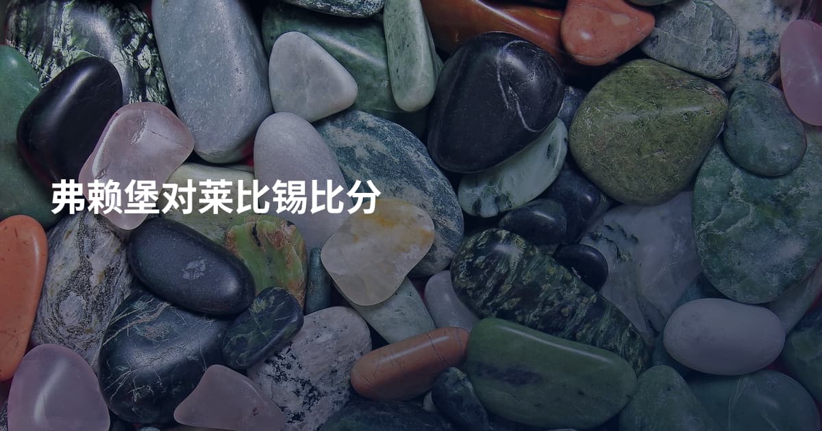 弗赖堡对莱比锡比分