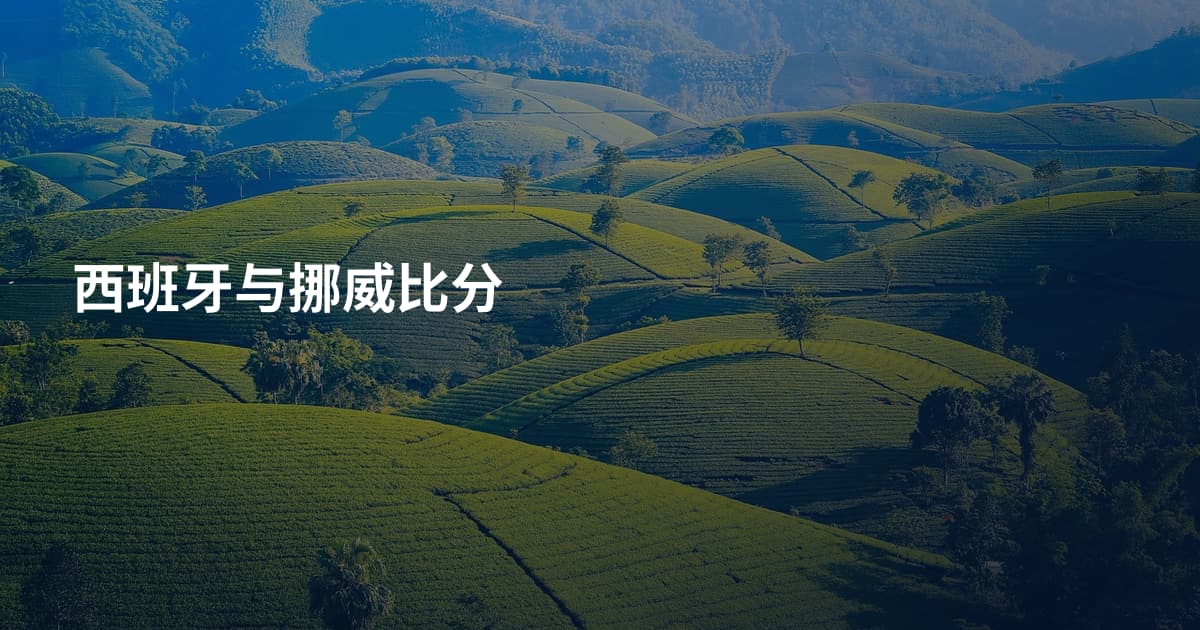西班牙与挪威比分