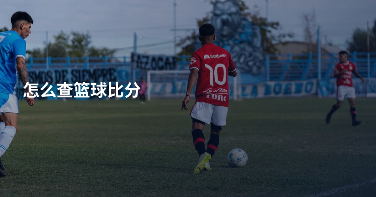 怎么查篮球比分