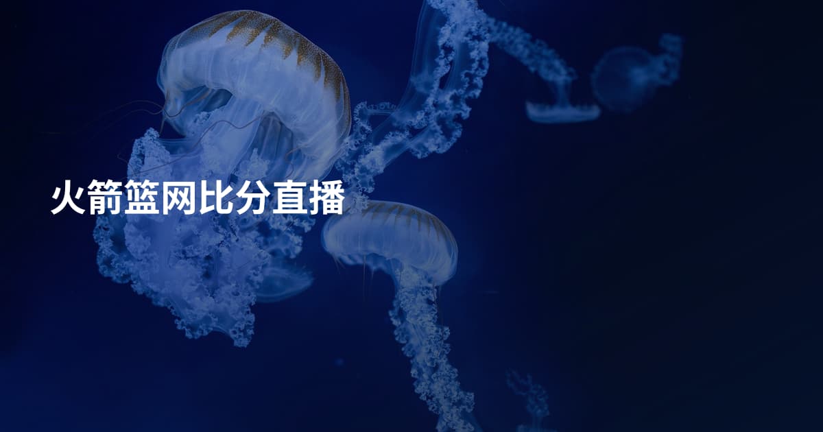 火箭篮网比分直播