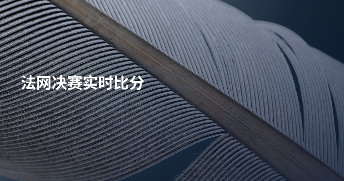 法网决赛实时比分