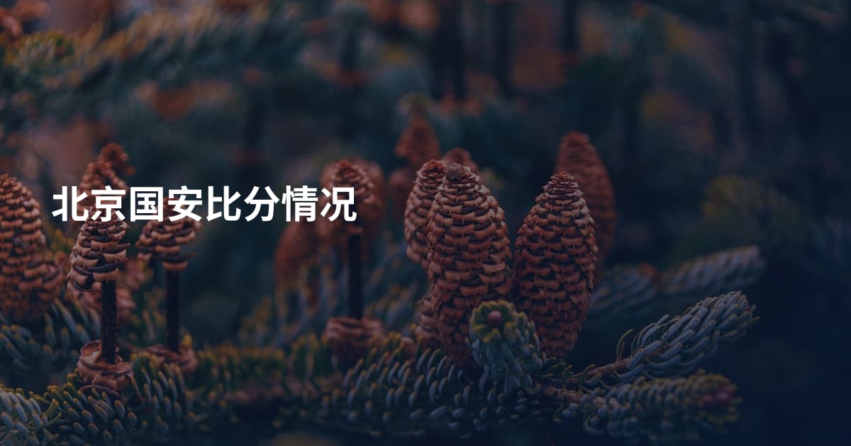 北京国安比分情况