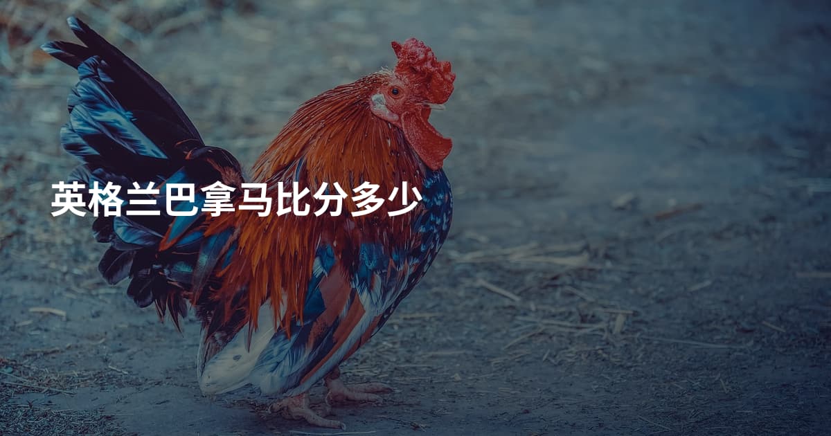 英格兰巴拿马比分多少