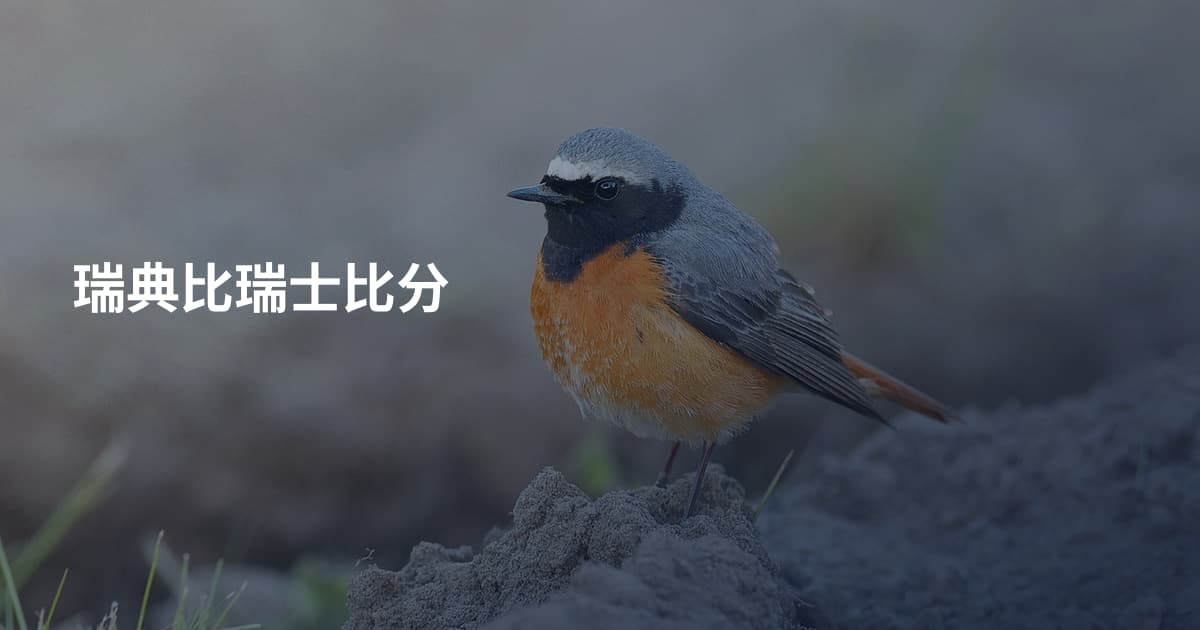 瑞典比瑞士比分