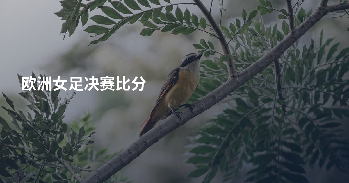 欧洲女足决赛比分