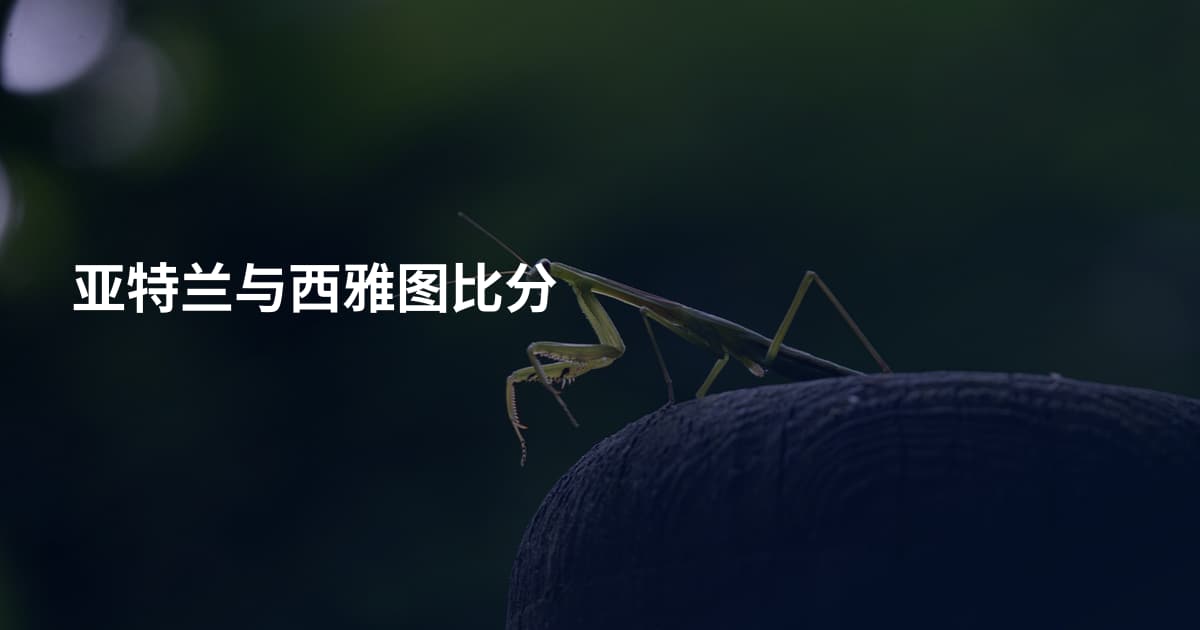 亚特兰与西雅图比分