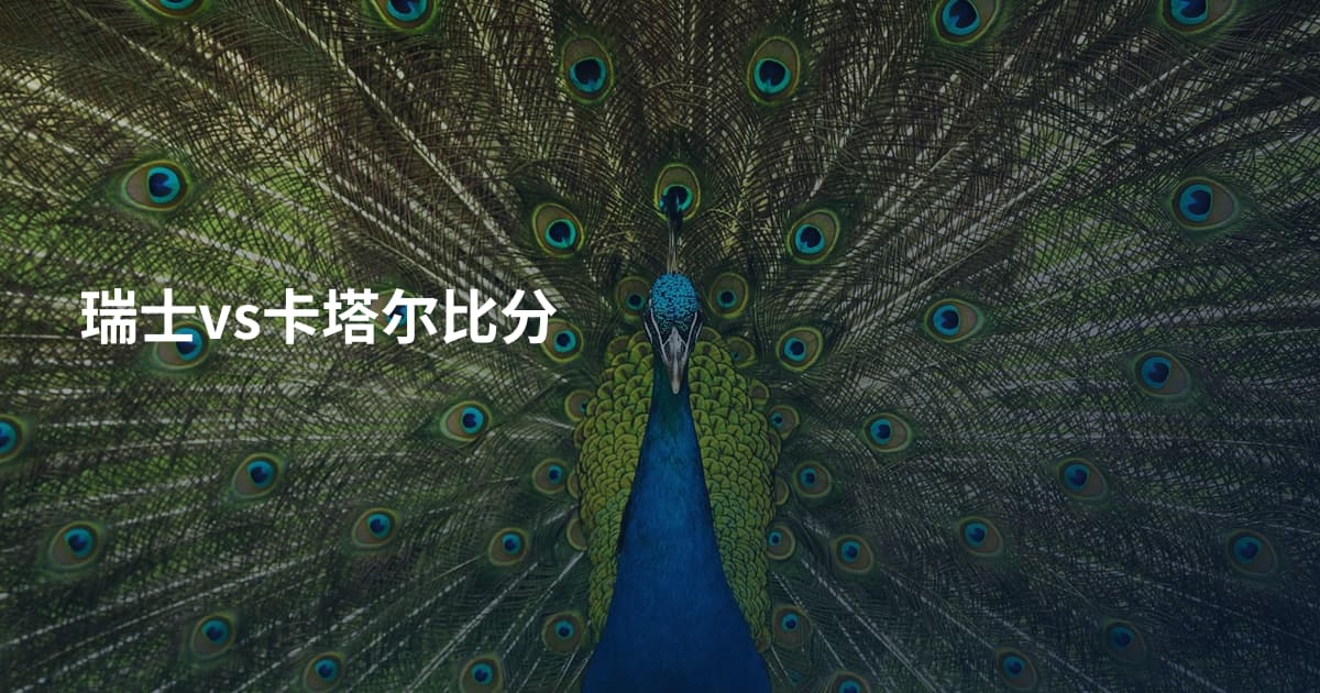 瑞士vs卡塔尔比分