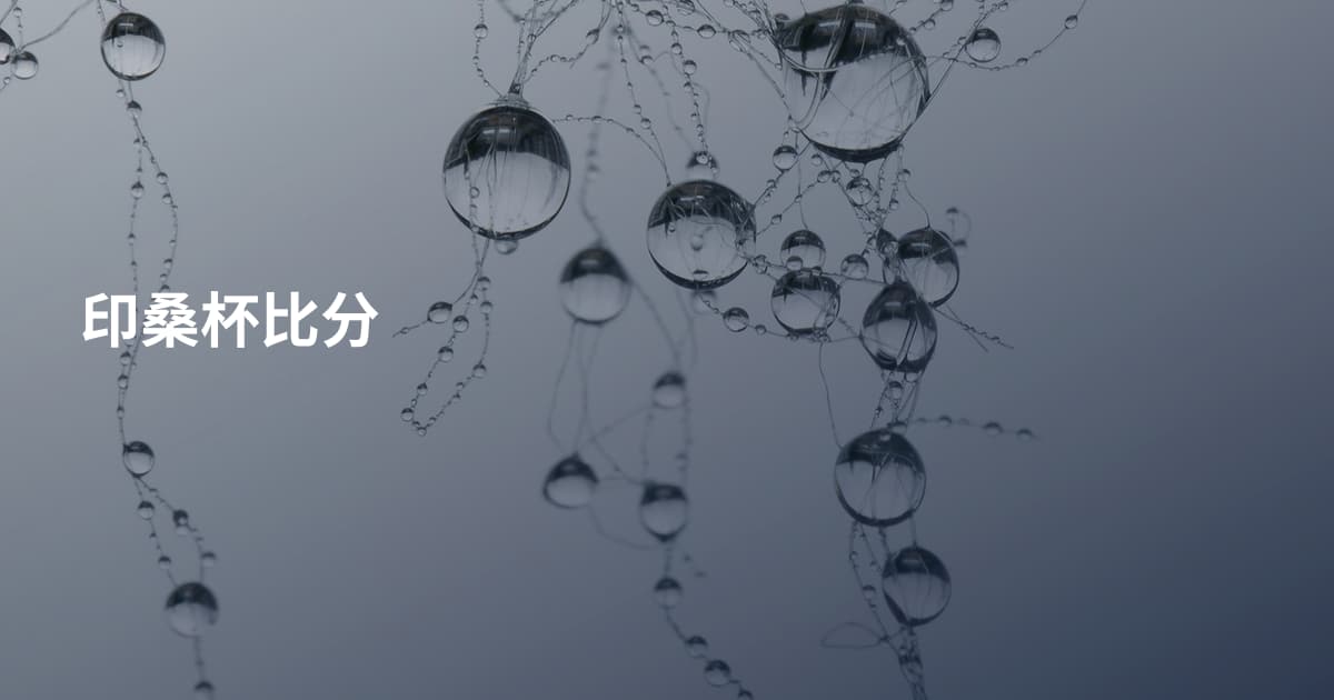 印桑杯比分