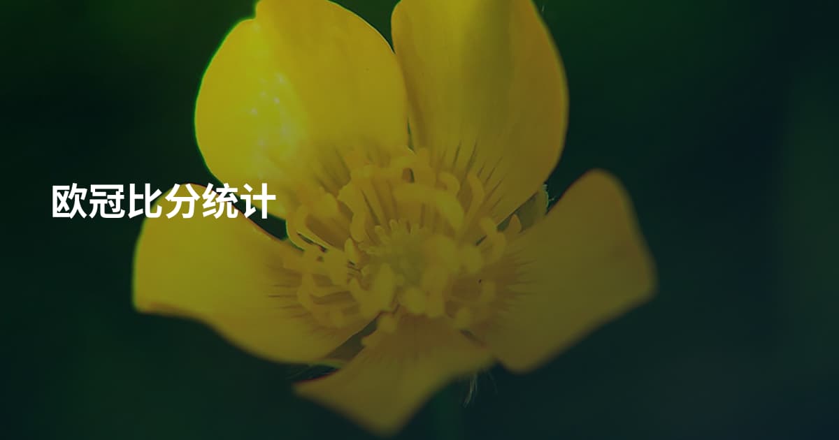 欧冠比分统计