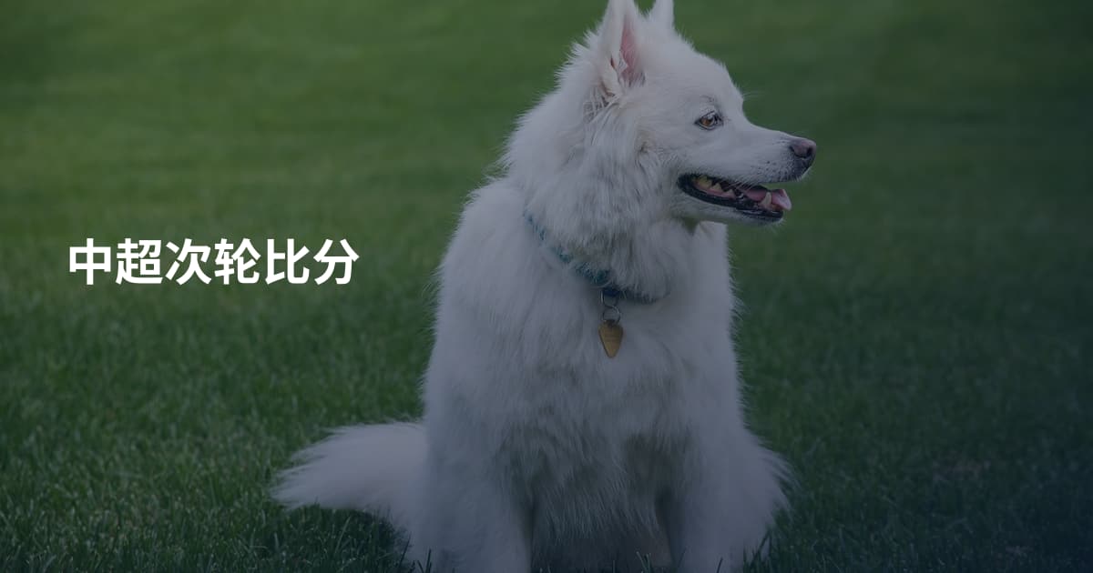 中超次轮比分