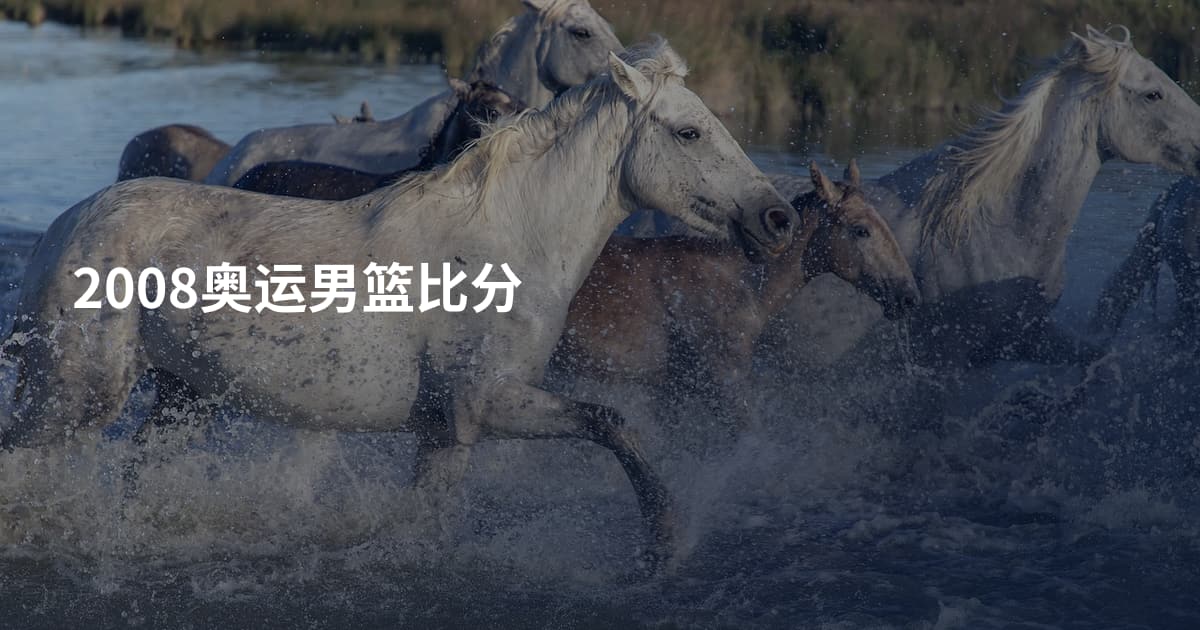 2008奥运男篮比分