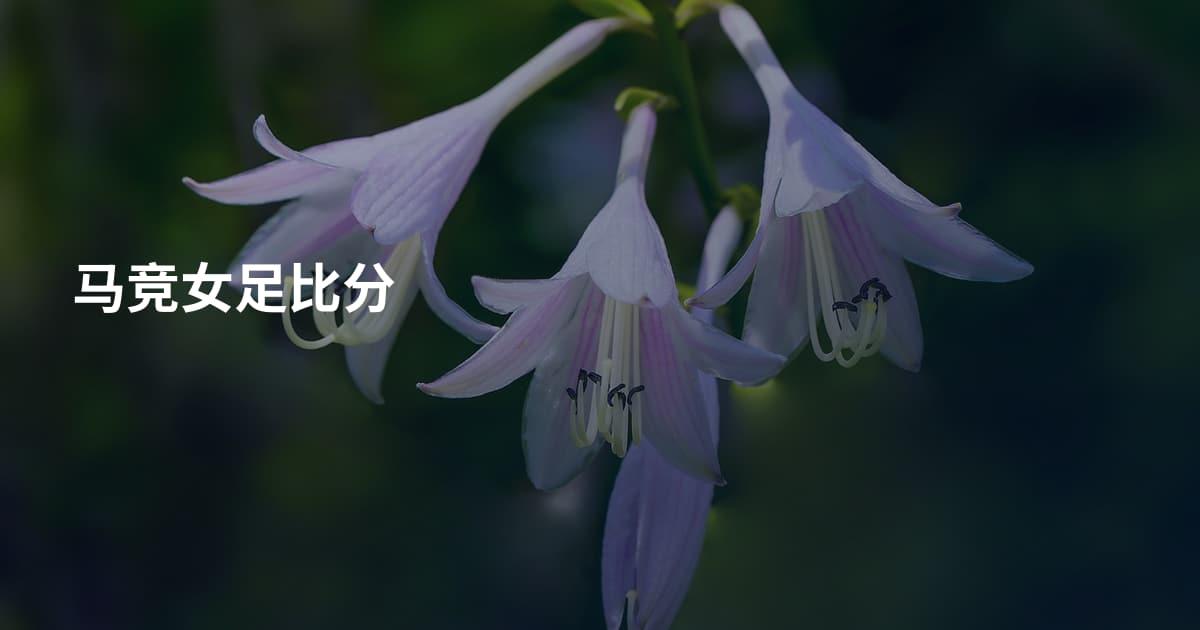 马竞女足比分